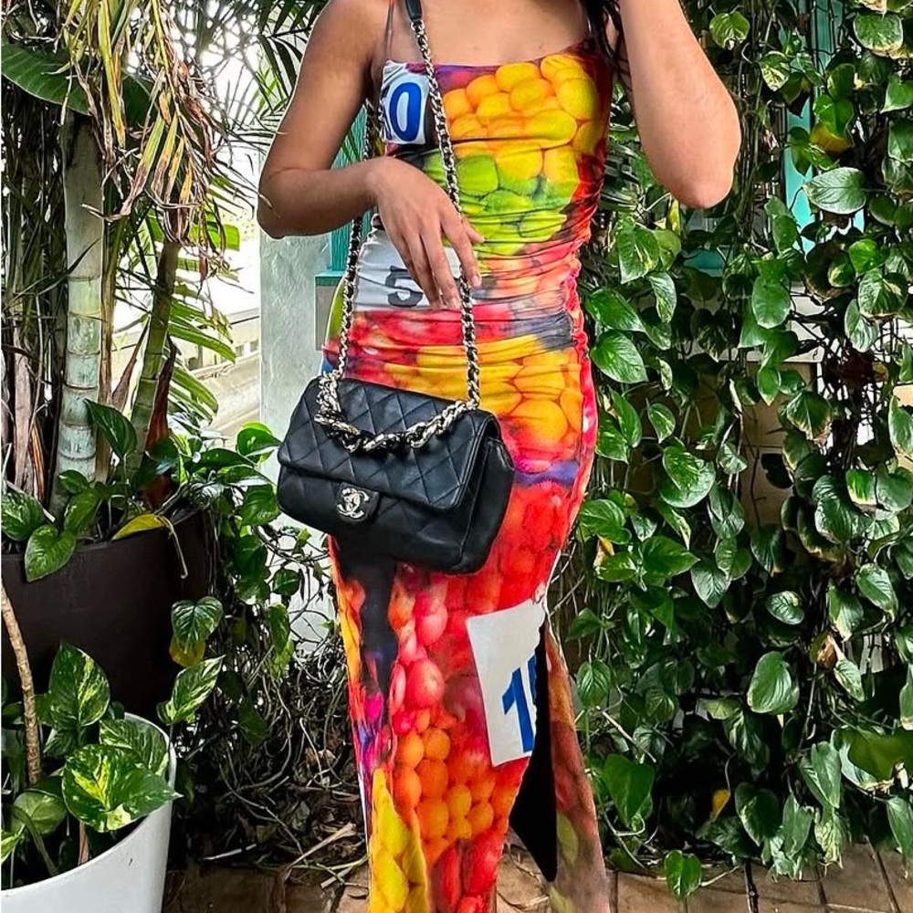Zara Mesh Bodycon Fruit Dress NWT